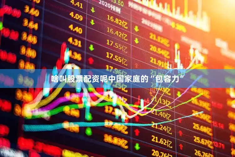 啥叫股票配资呢中国家庭的“包容力”