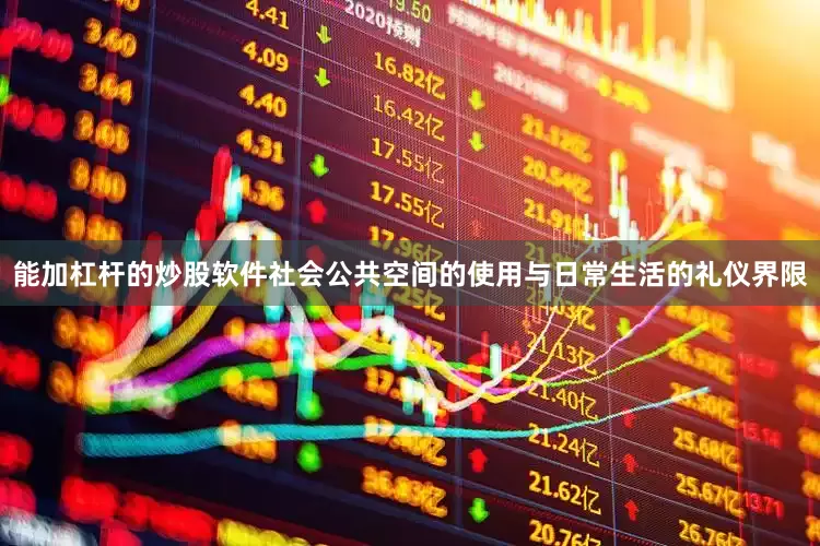 能加杠杆的炒股软件社会公共空间的使用与日常生活的礼仪界限